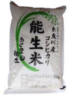 平成28年産 特別栽培米 能生米