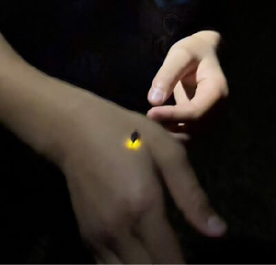 人と里と自然の調和を目指した米づくり