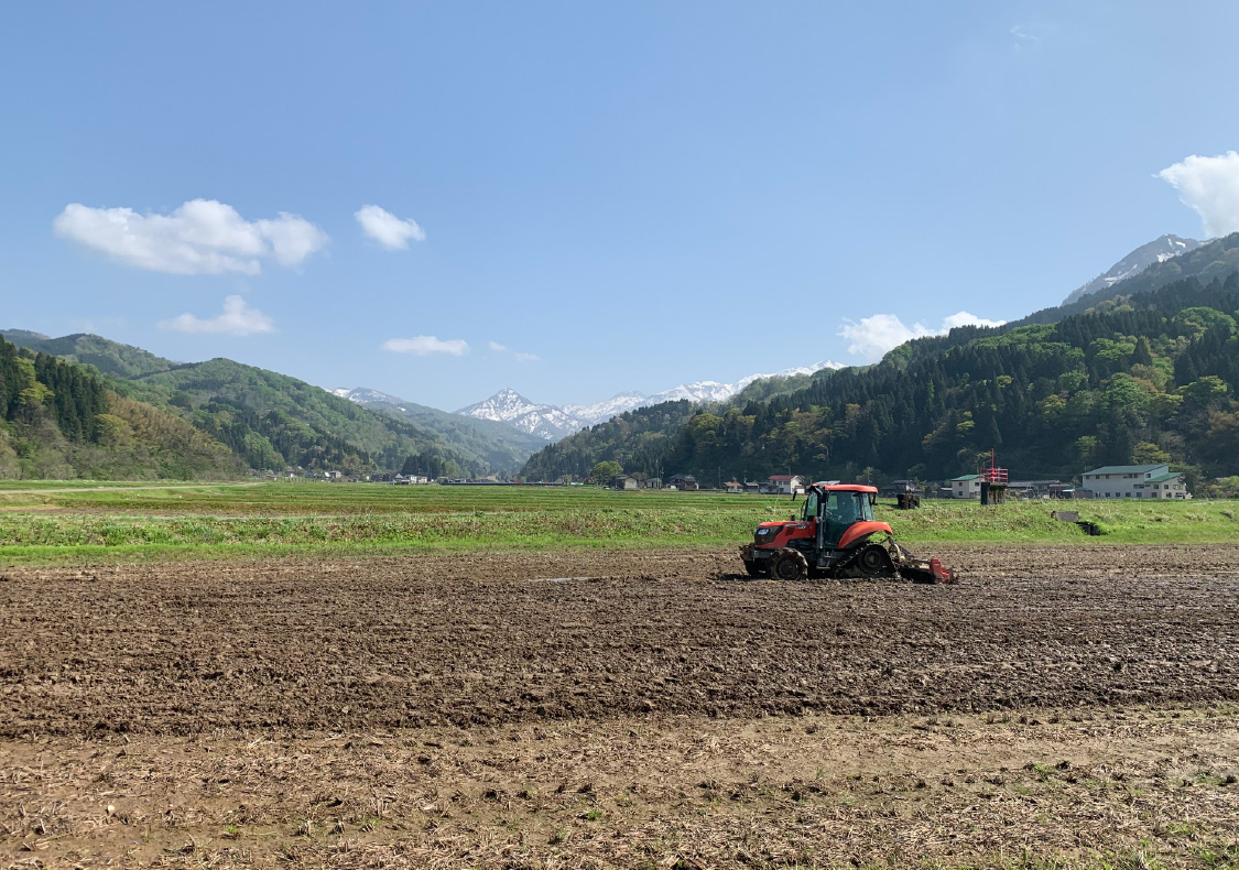 雪がとけると、田んぼの準備がはじまります