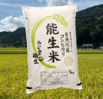 コシヒカリ「能生米」