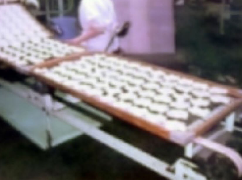 炊いたご飯を搗（つ）いて伸ばし、せんべいの形にして乾燥させます